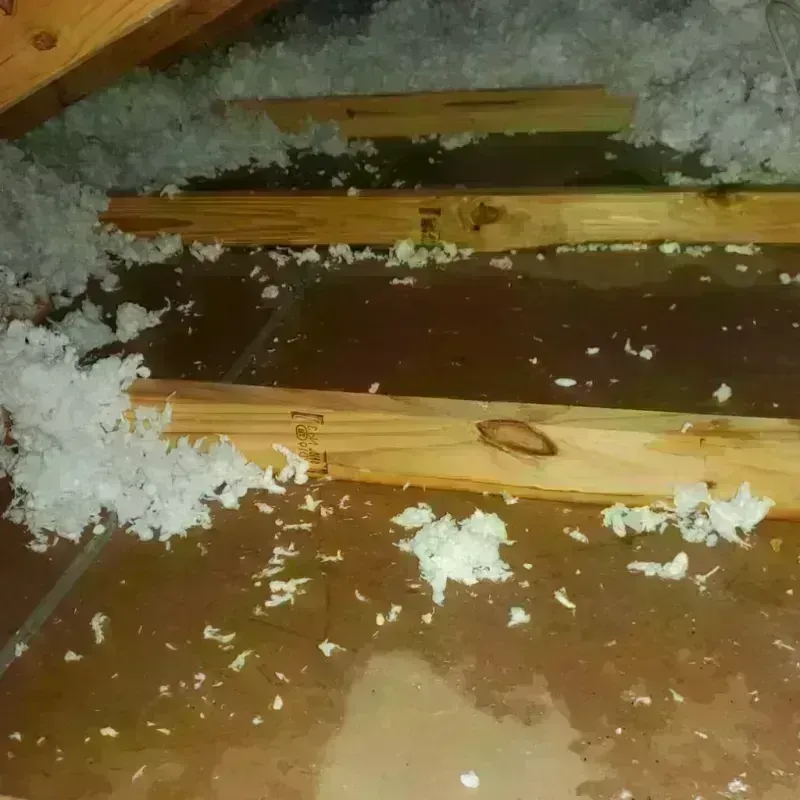 Attic Water Damage in White Sands, NM